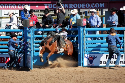 rodeo 8